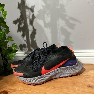 Nike Pegasus Trail 3 GORE-TEX